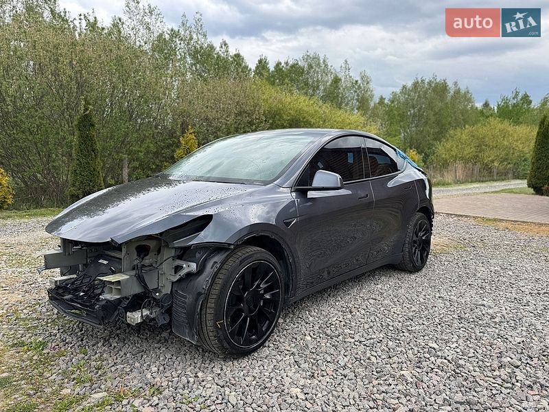 Позашляховик / Кросовер Tesla Model Y 2020 в Яворові