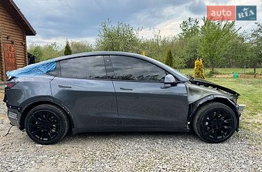 Позашляховик / Кросовер Tesla Model Y 2020 в Яворові