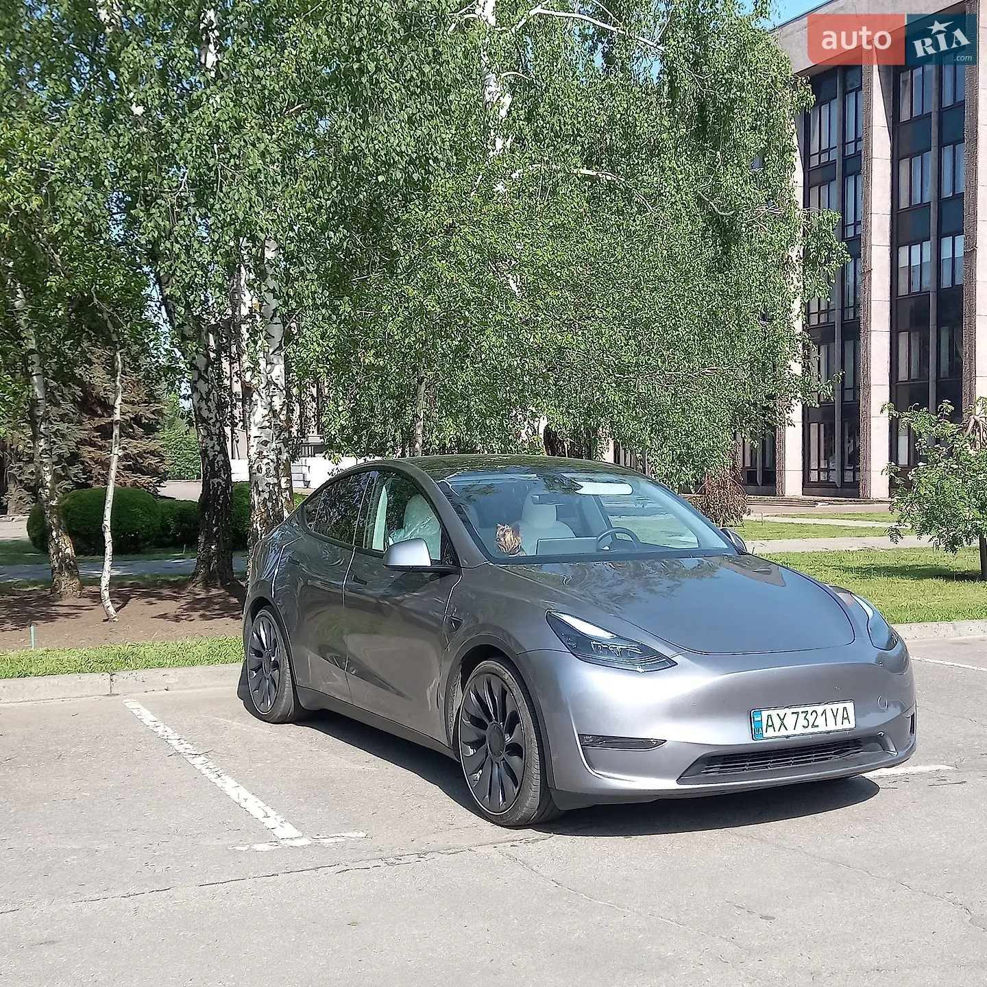 2024 Tesla Model Y - фото 1