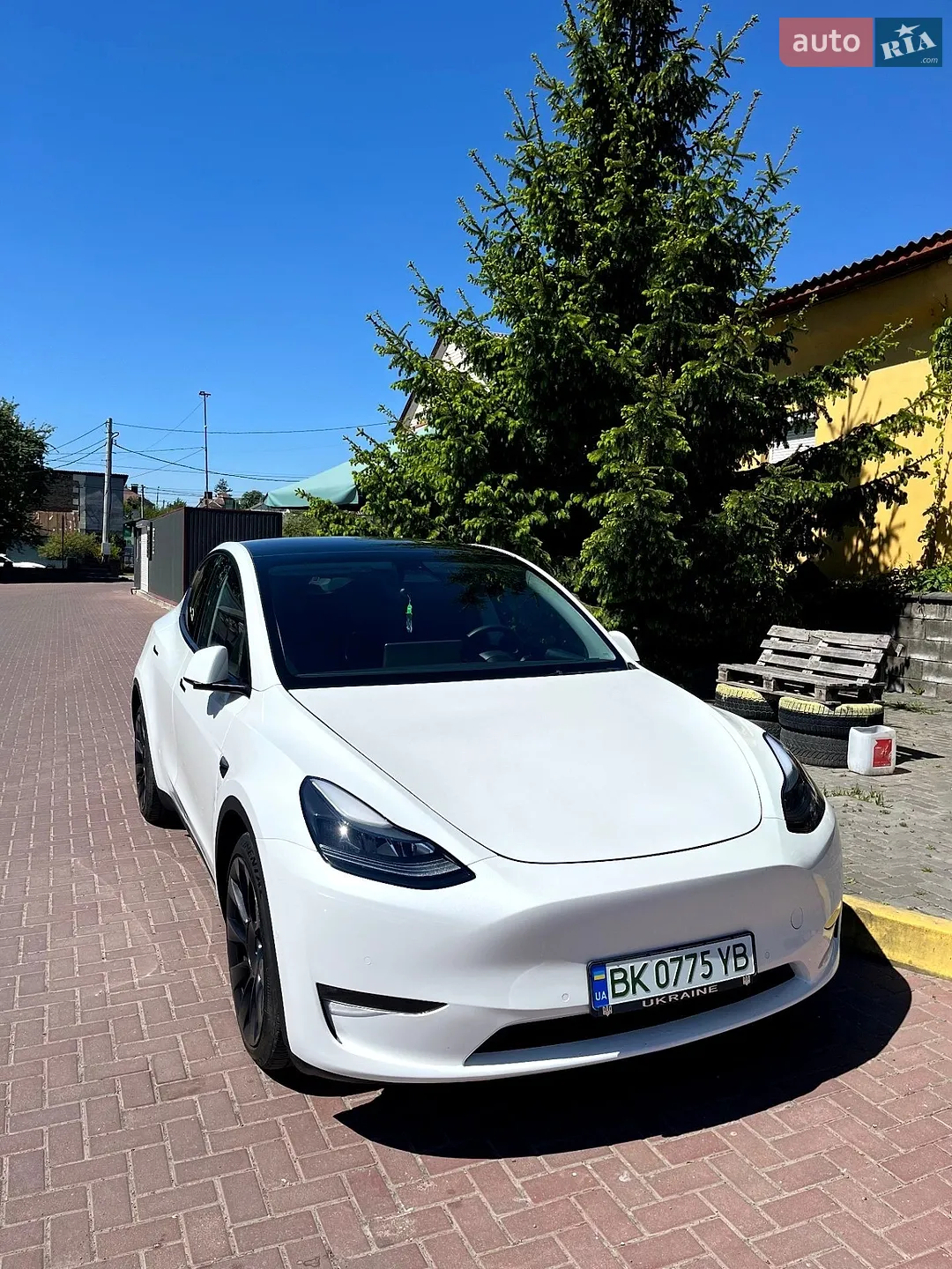 2022 Tesla Model Y - фото 1