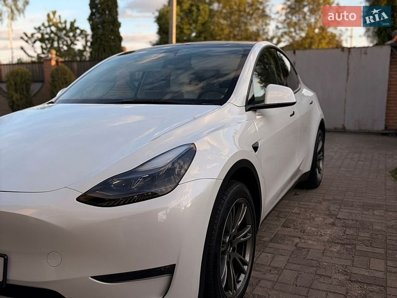 Внедорожник / Кроссовер Tesla Model Y 2024 в Фастове