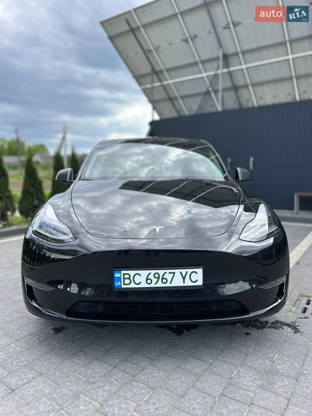2023 Tesla Model Y - фото 1