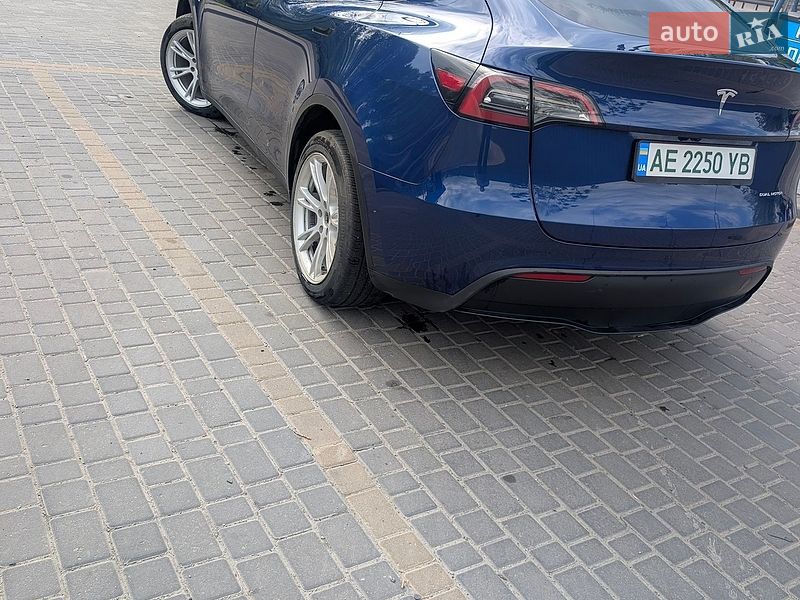 Позашляховик / Кросовер Tesla Model Y 2023 в Дніпрі