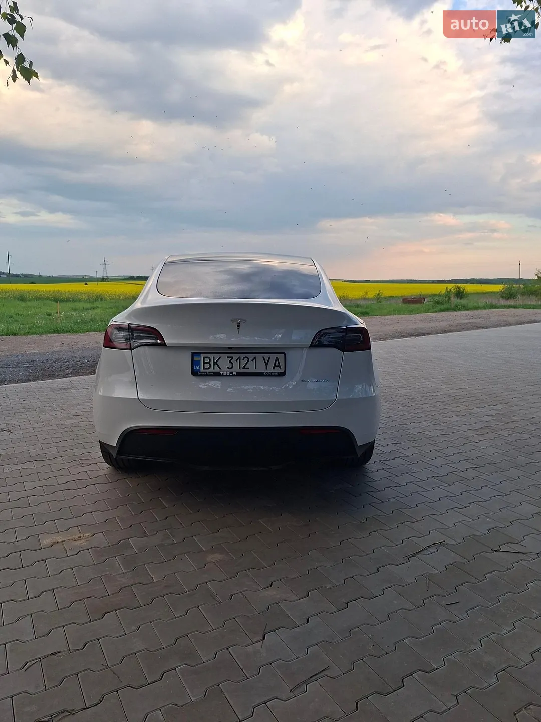 2023 Tesla Model Y - мініатюра 9