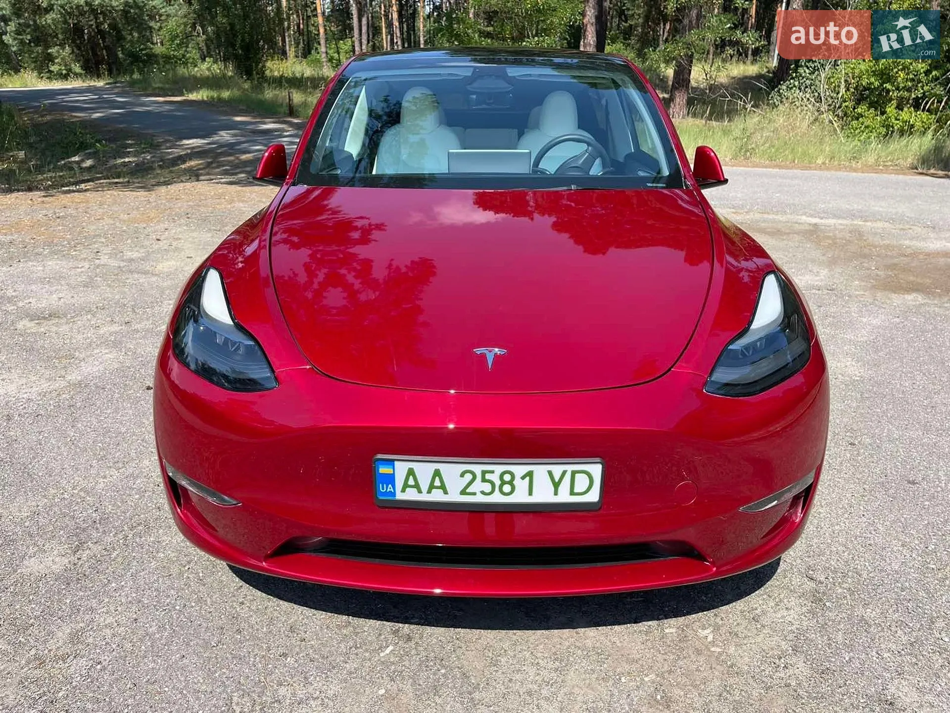 2024 Tesla Model Y - мініатюра 30