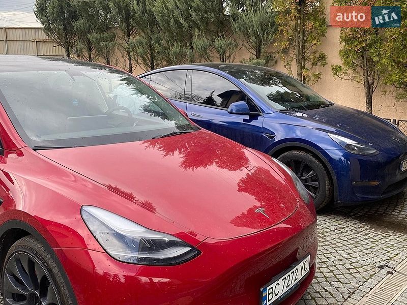 Позашляховик / Кросовер Tesla Model Y 2023 в Харкові