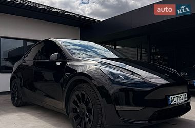 Внедорожник / Кроссовер Tesla Model Y 2023 в Луцке