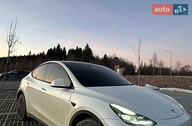 Позашляховик / Кросовер Tesla Model Y 2020 в Львові