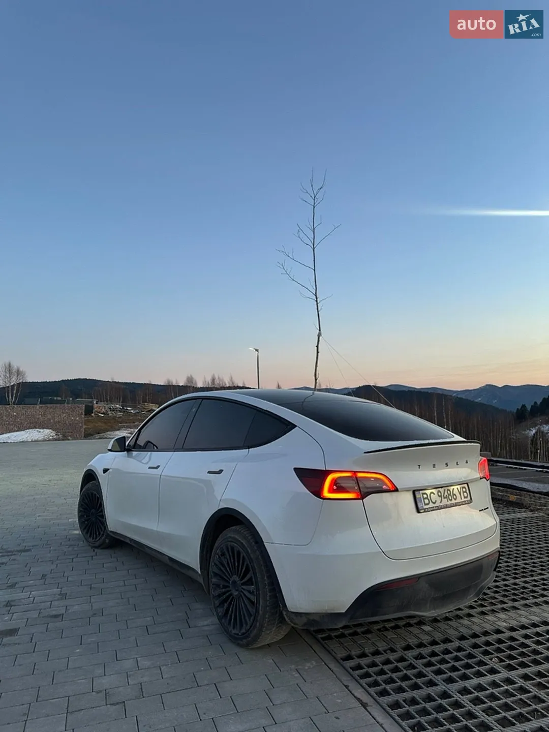 2020 Tesla Model Y - мініатюра 12