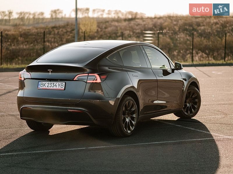 Внедорожник / Кроссовер Tesla Model Y 2024 в Ровно