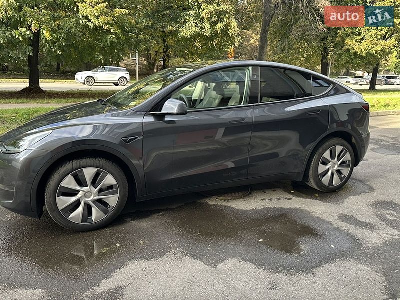 Внедорожник / Кроссовер Tesla Model Y 2024 в Тернополе