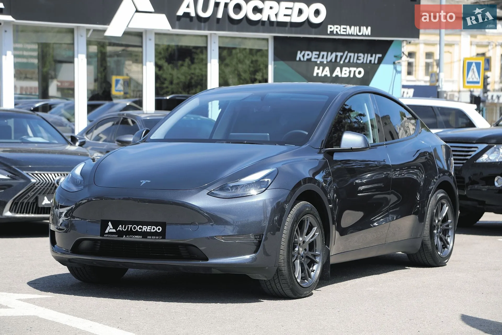 2024 Tesla Model Y - фото 1