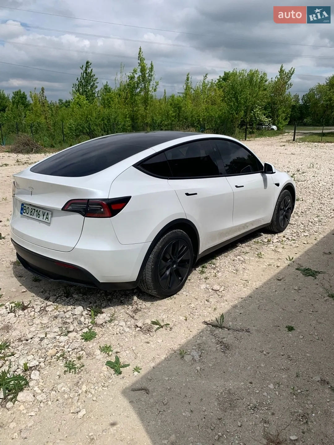 2024 Tesla Model Y - мініатюра 5