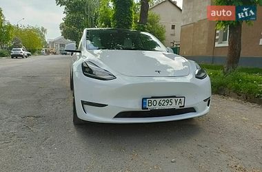 Внедорожник / Кроссовер Tesla Model Y 2021 в Тернополе