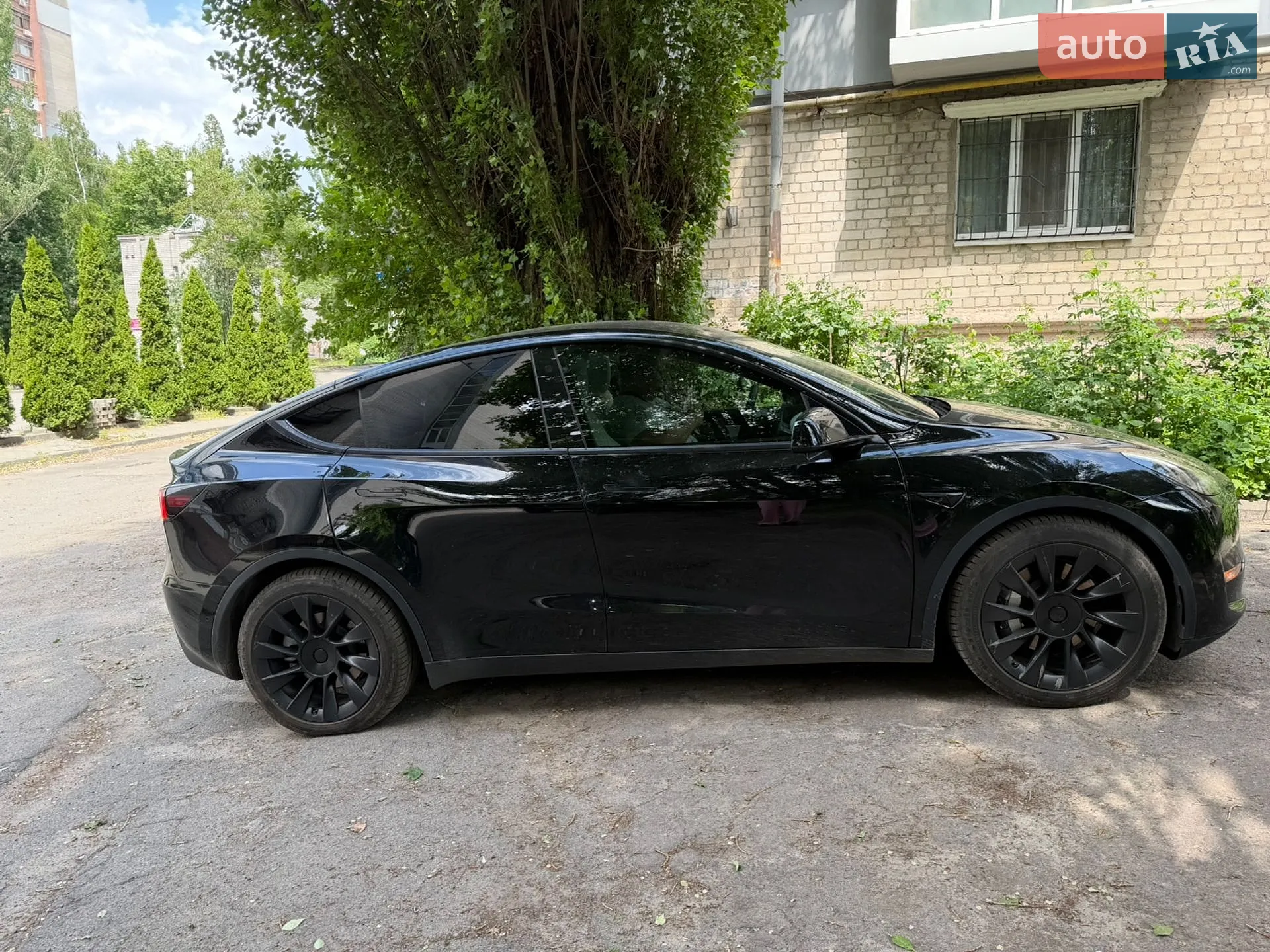 2020 Tesla Model Y - фото 1