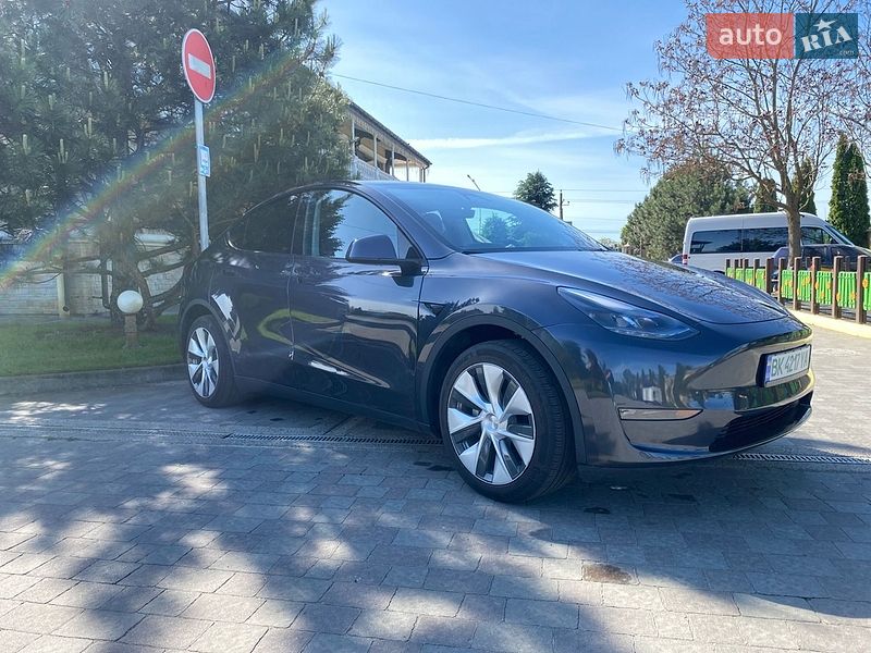 Внедорожник / Кроссовер Tesla Model Y 2024 в Сарнах фото 25 Внедорожник / Кроссовер Tesla Model Y 2024 в Сарнах