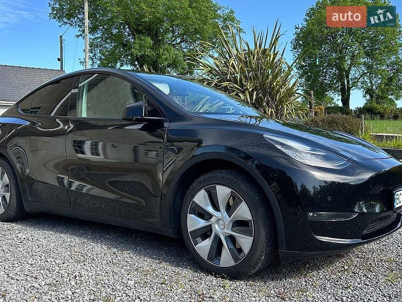 Внедорожник / Кроссовер Tesla Model Y 2021 в Умани