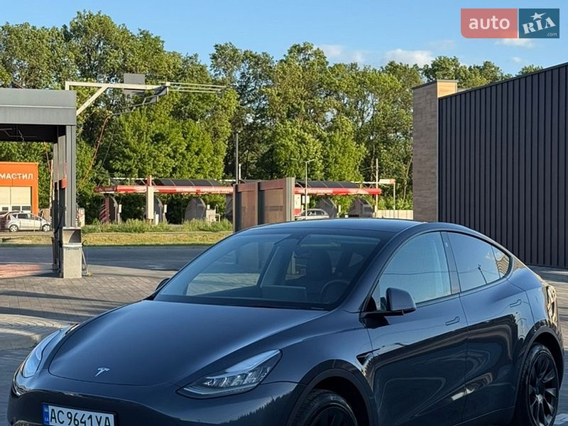 Позашляховик / Кросовер Tesla Model Y 2023 в Луцьку