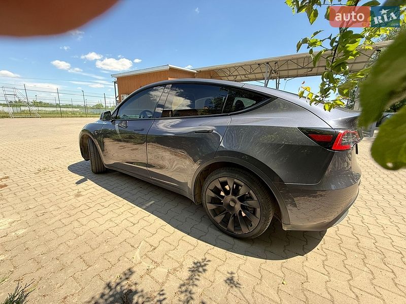 Внедорожник / Кроссовер Tesla Model Y 2020 в Нижними Становцами