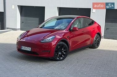 Позашляховик / Кросовер Tesla Model Y 2021 в Тернополі