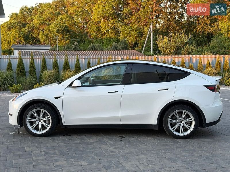 Позашляховик / Кросовер Tesla Model Y 2021 в Луцьку