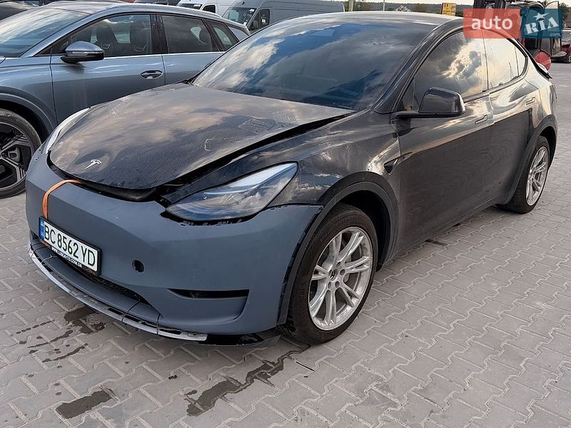 Позашляховик / Кросовер Tesla Model Y 2024 в Львові