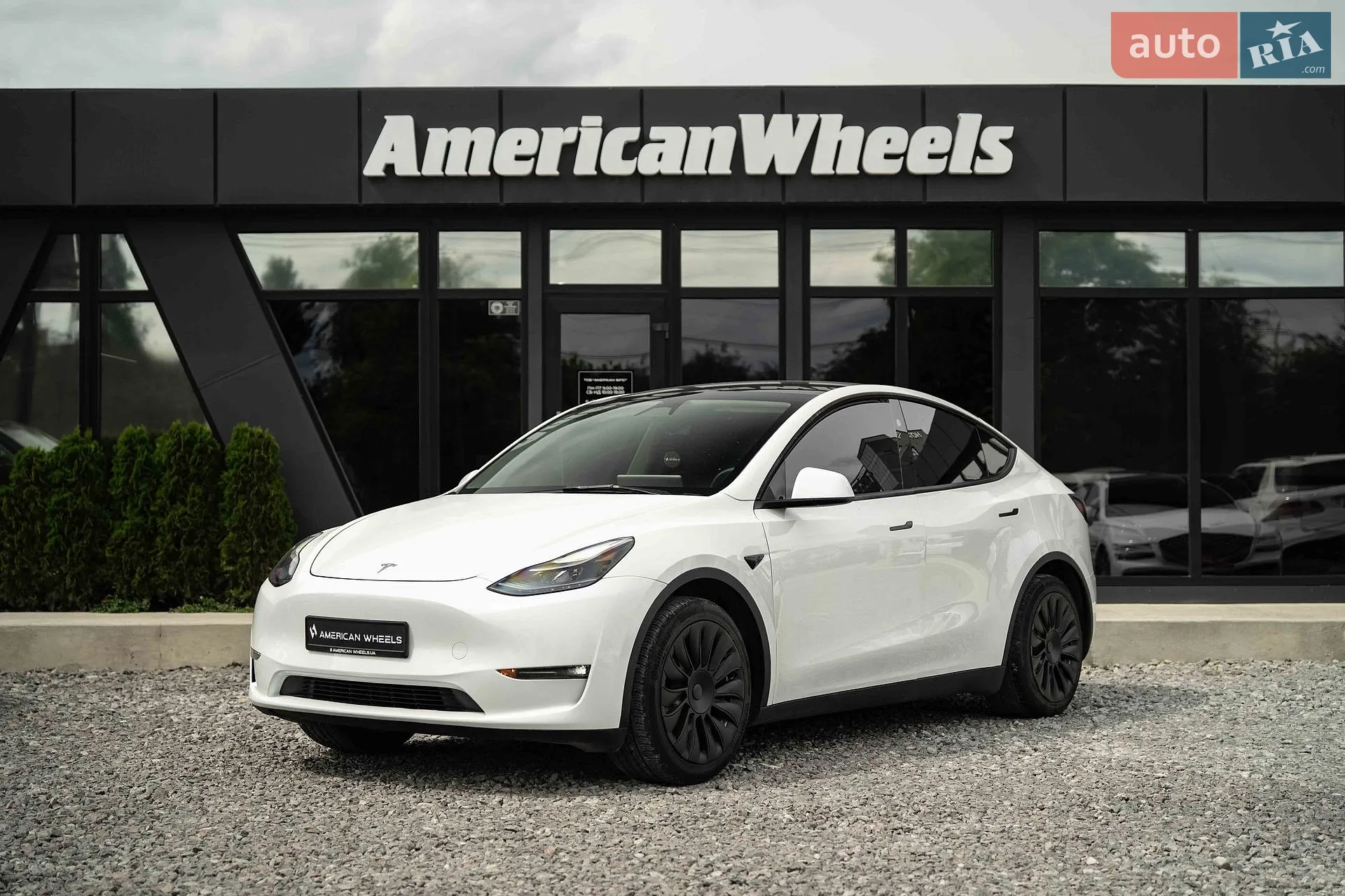 2023 Tesla Model Y - фото 1
