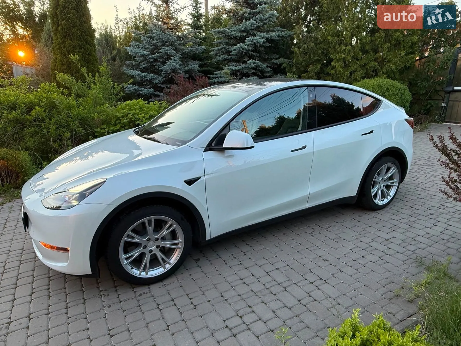 2023 Tesla Model Y - мініатюра 2