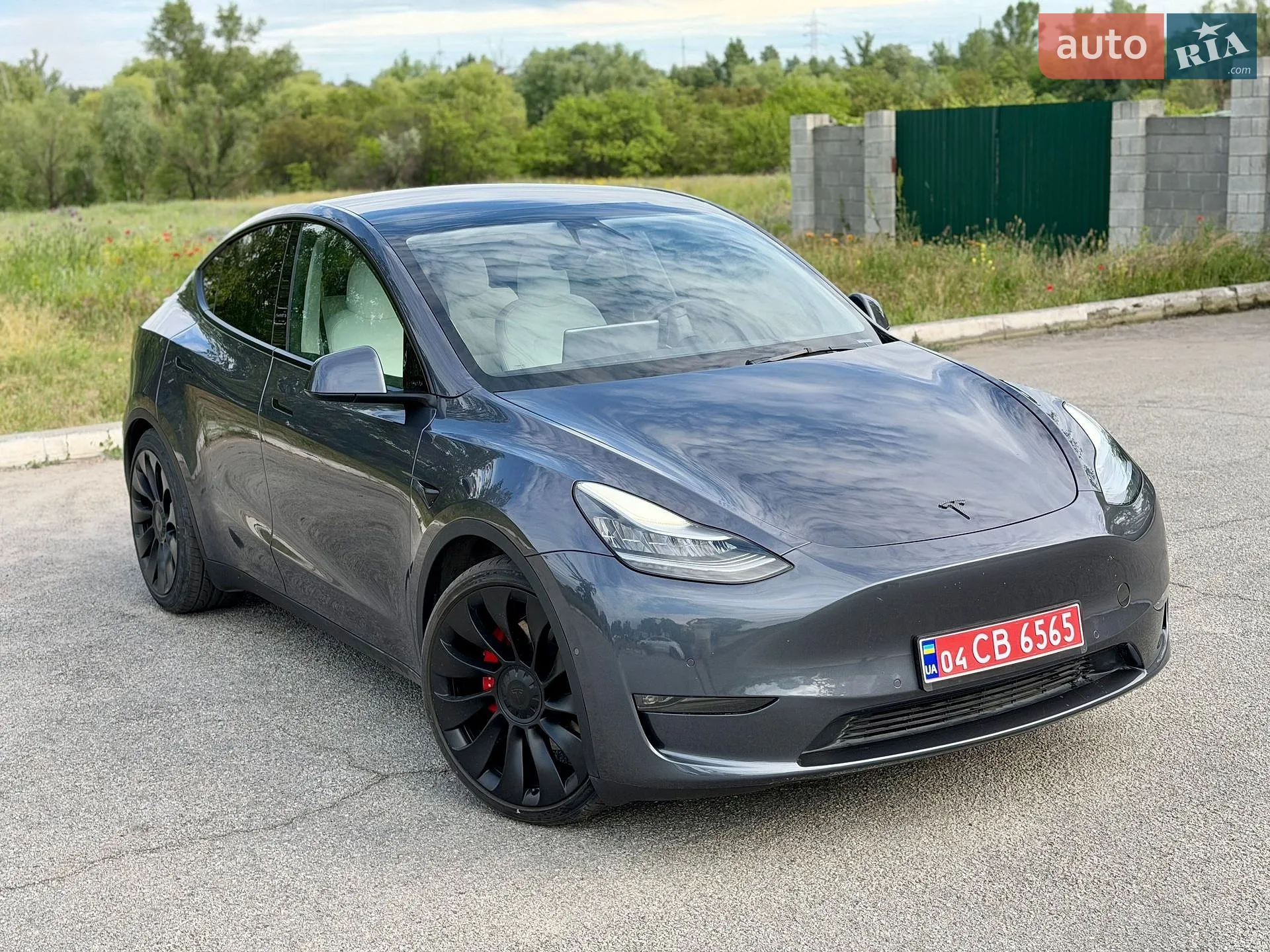 2021 Tesla Model Y - фото 1