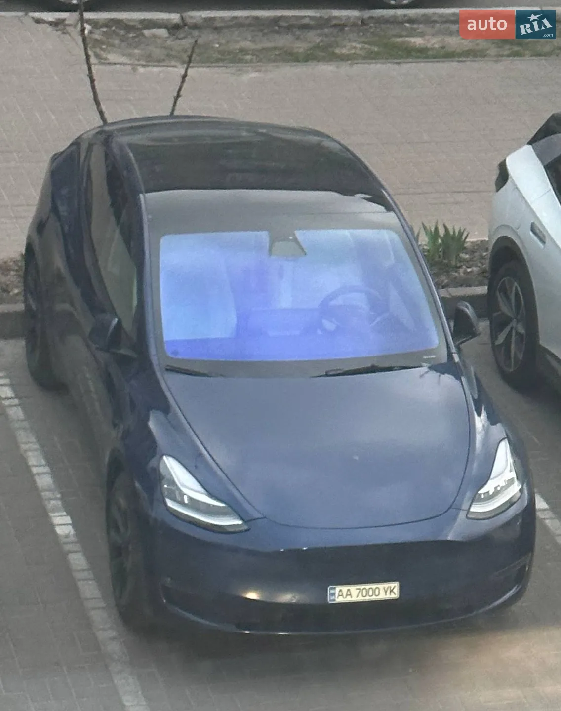 2021 Tesla Model Y - мініатюра 12