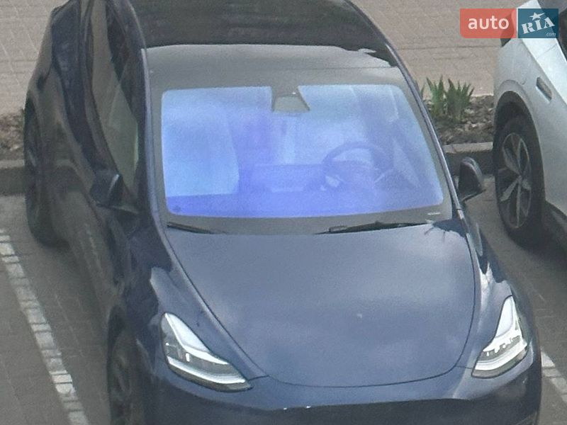 Позашляховик / Кросовер Tesla Model Y 2021 в Києві