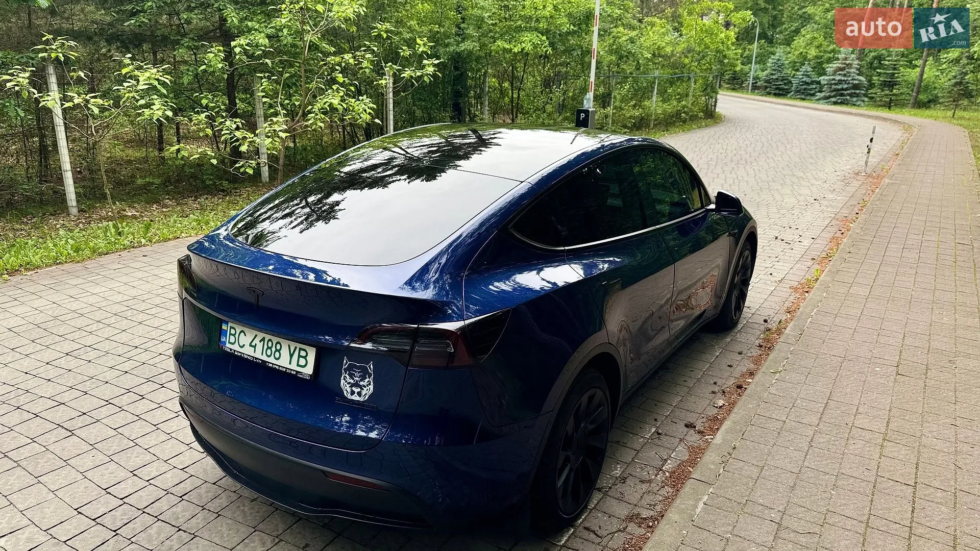 2021 Tesla Model Y - мініатюра 5