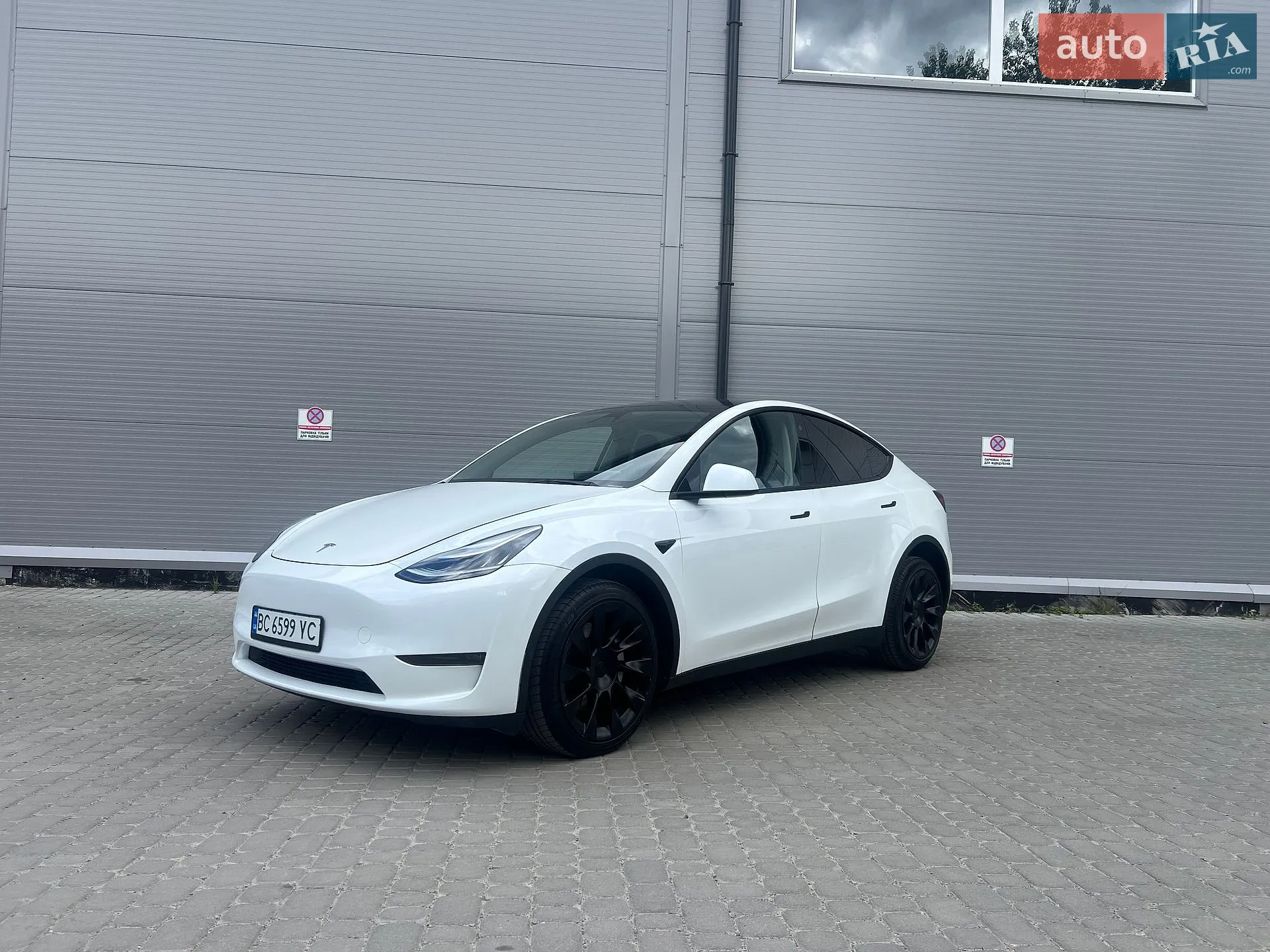 2023 Tesla Model Y - фото 1