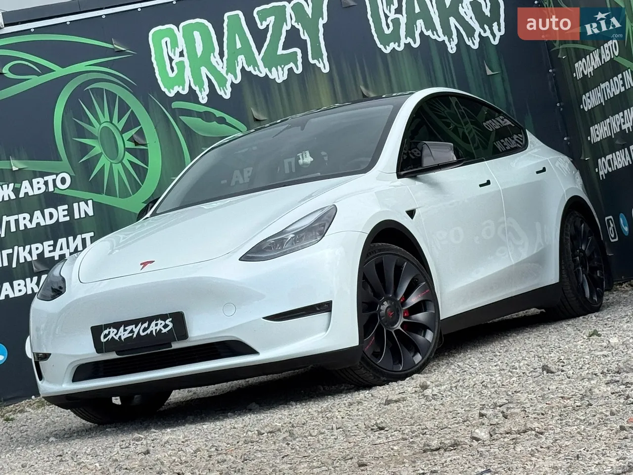 2023 Tesla Model Y - мініатюра 22