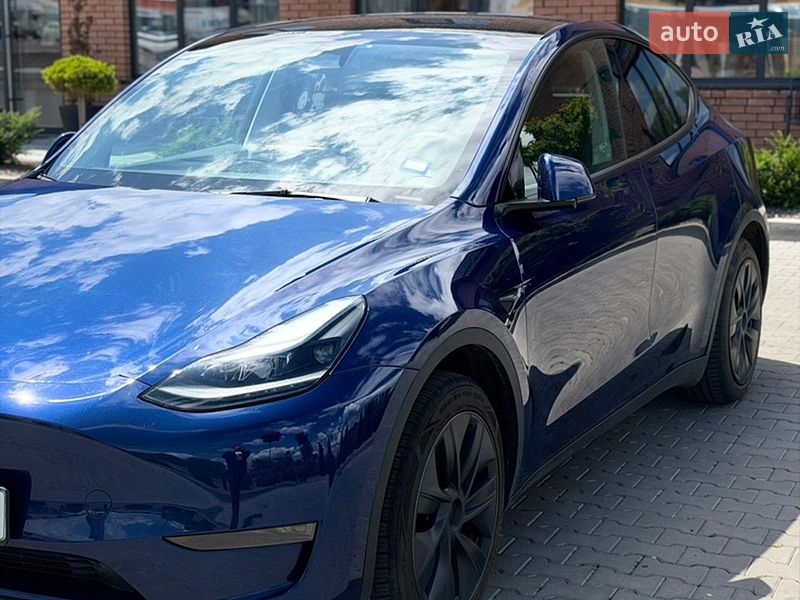 Внедорожник / Кроссовер Tesla Model Y 2024 в Луцке