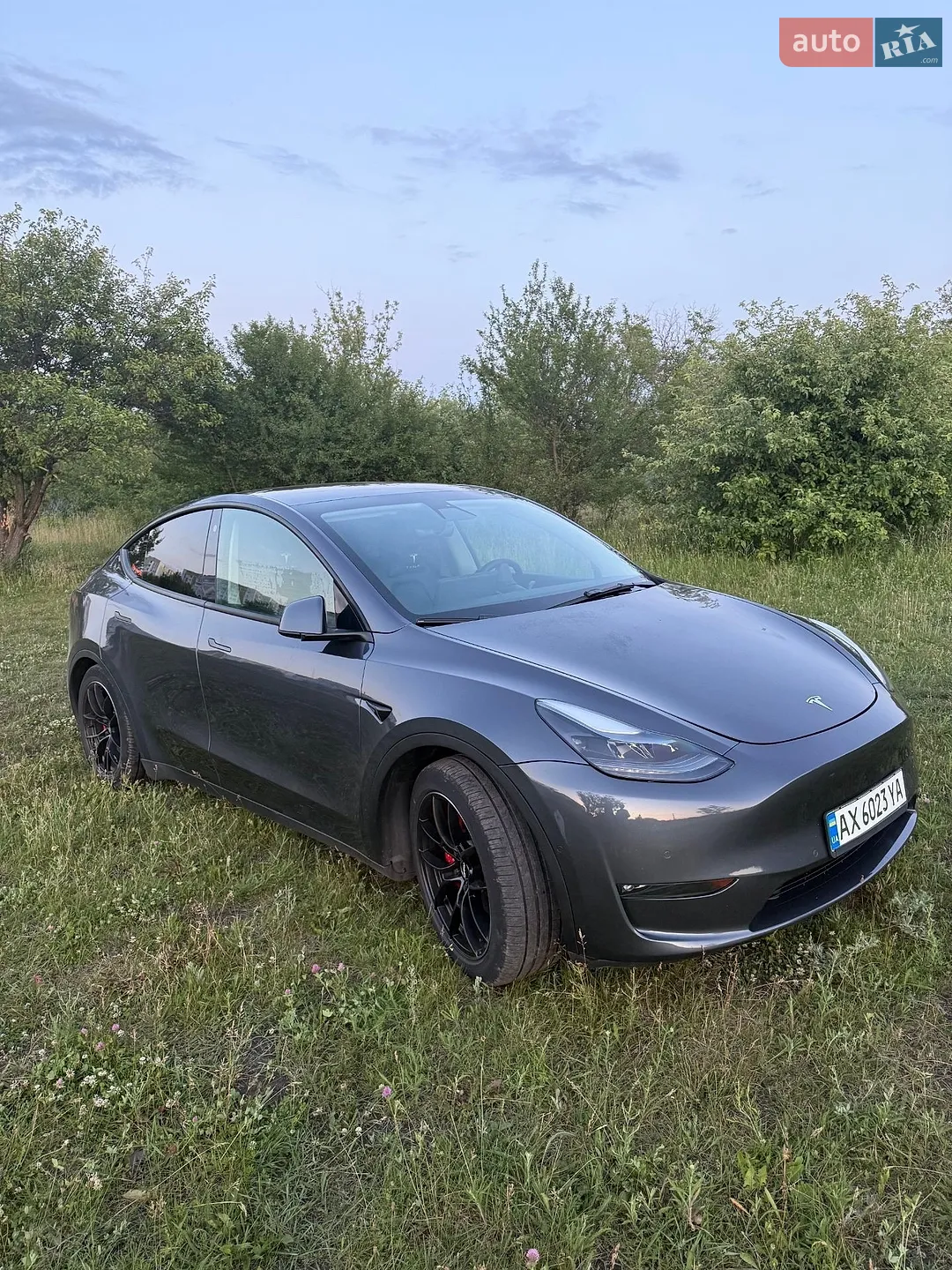 2022 Tesla Model Y - мініатюра 5