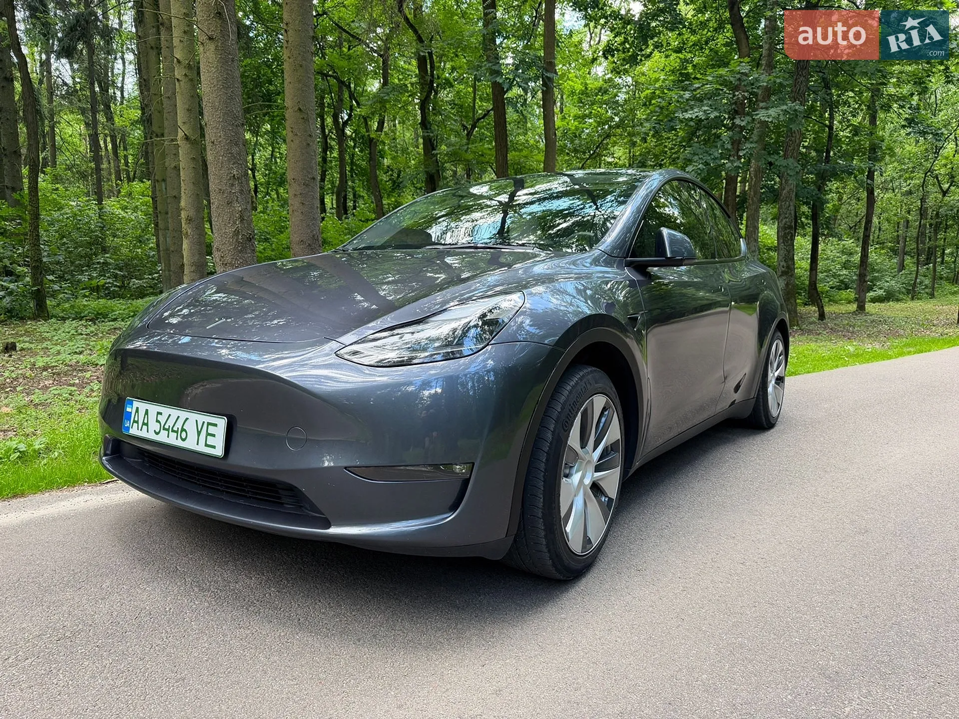 2023 Tesla Model Y - фото 1