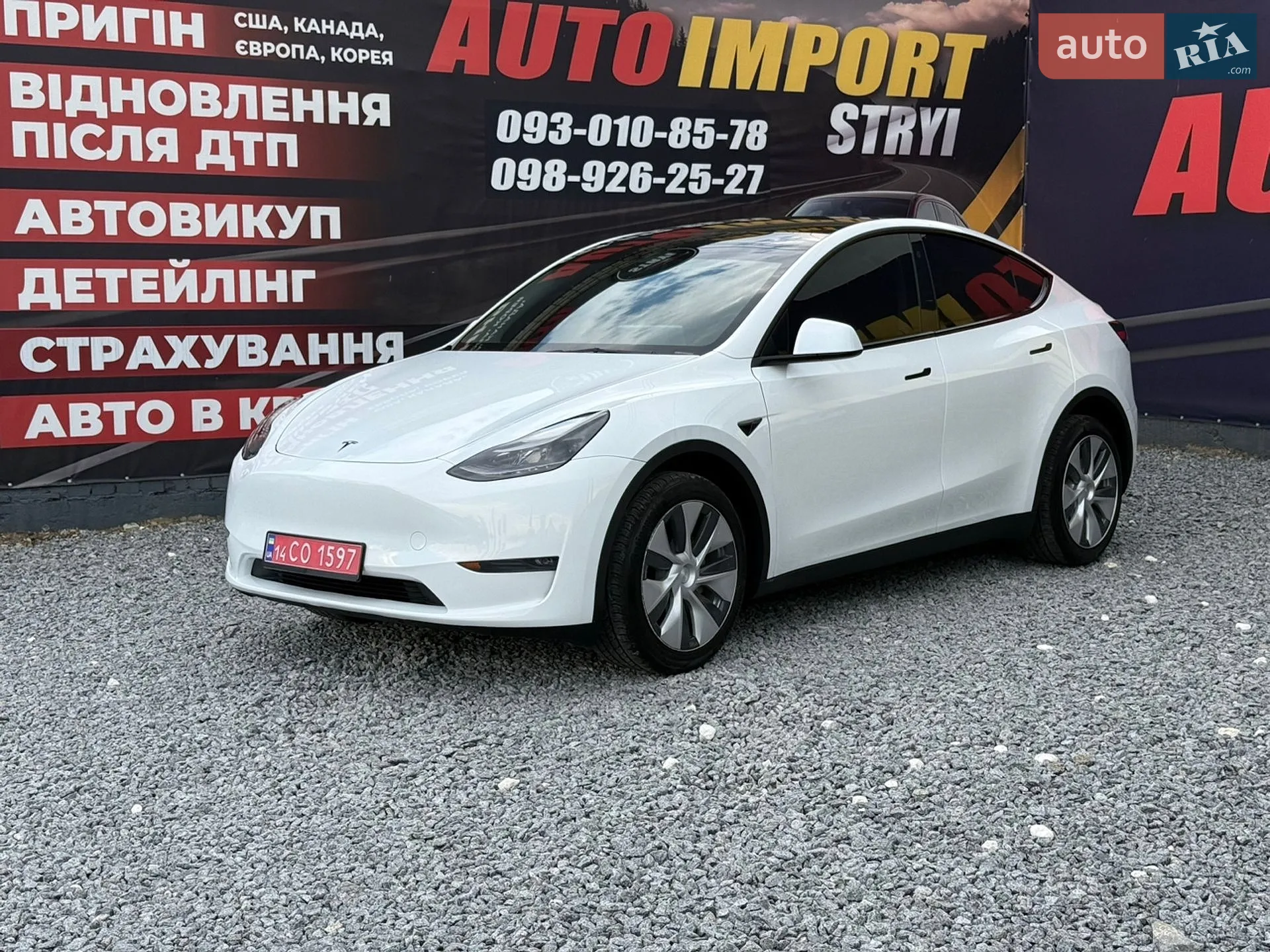 2023 Tesla Model Y - фото 1