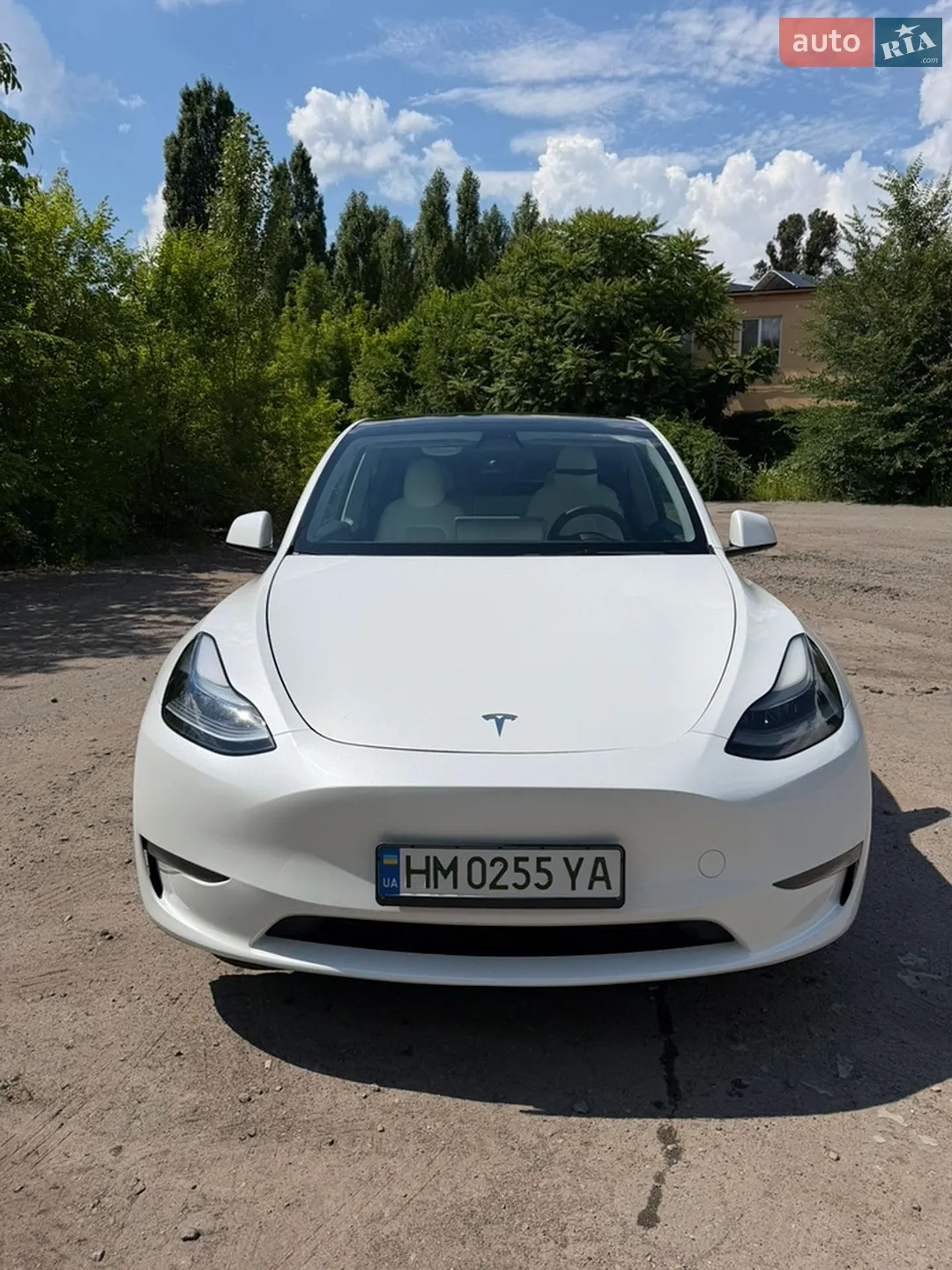 2022 Tesla Model Y - фото 1