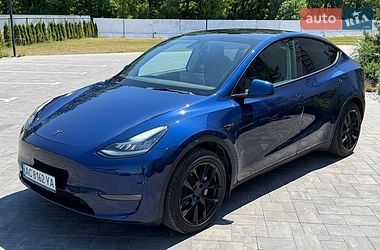 Позашляховик / Кросовер Tesla Model Y 2021 в Луцьку