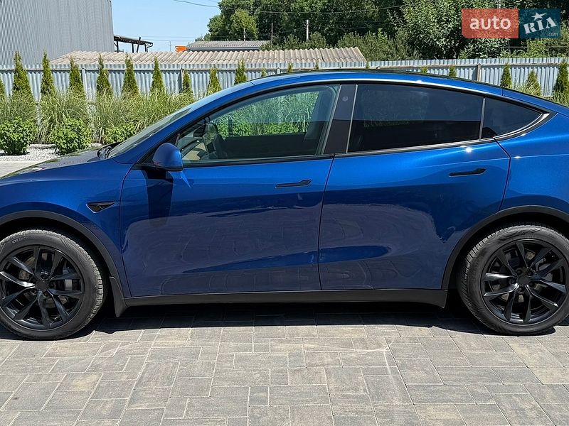 Позашляховик / Кросовер Tesla Model Y 2021 в Луцьку