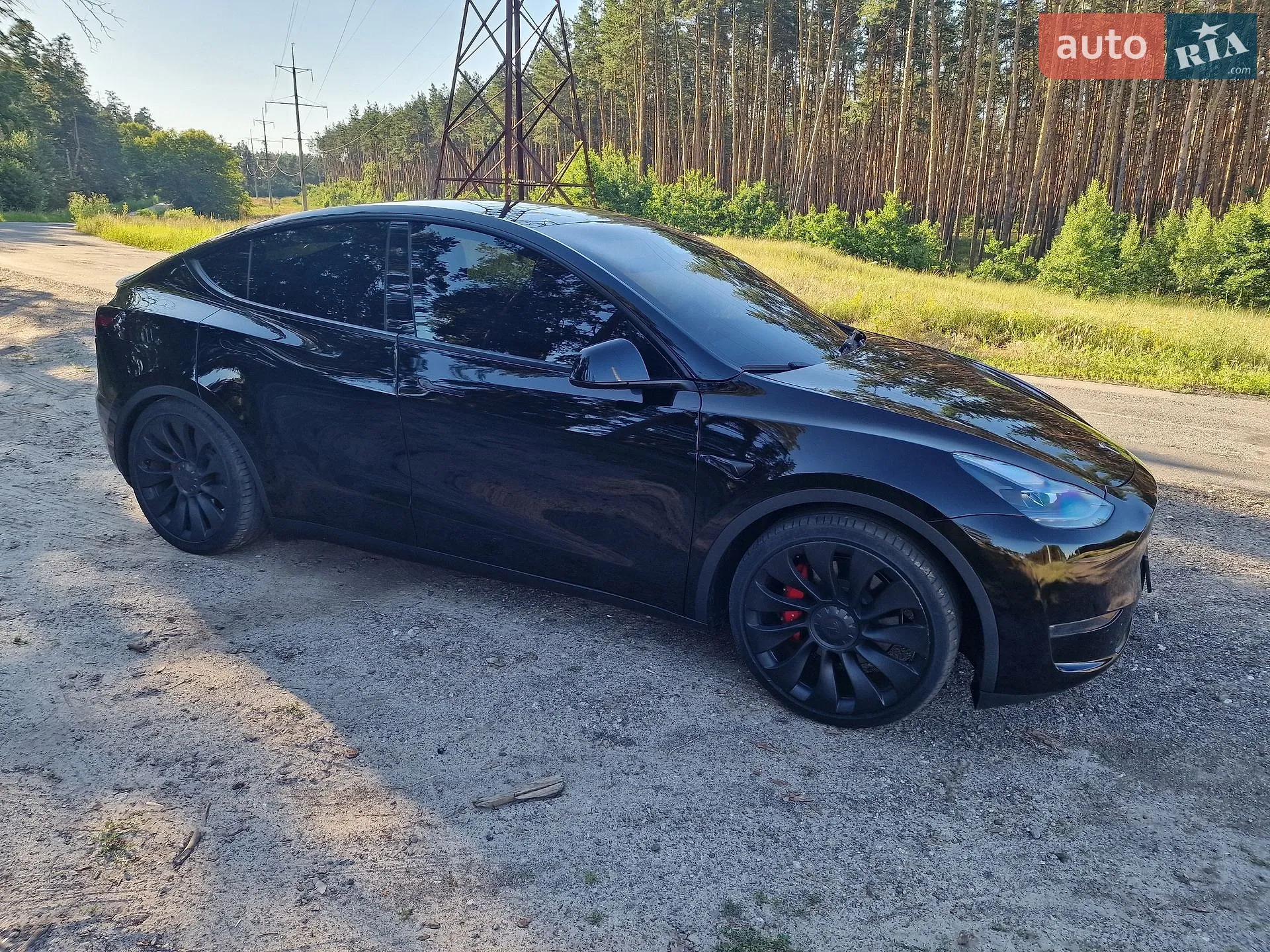 2023 Tesla Model Y - мініатюра 12