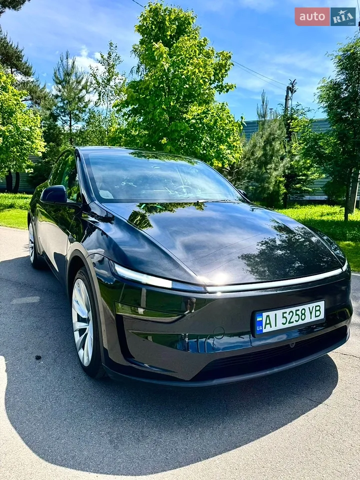 2025 Tesla Model Y - мініатюра 30