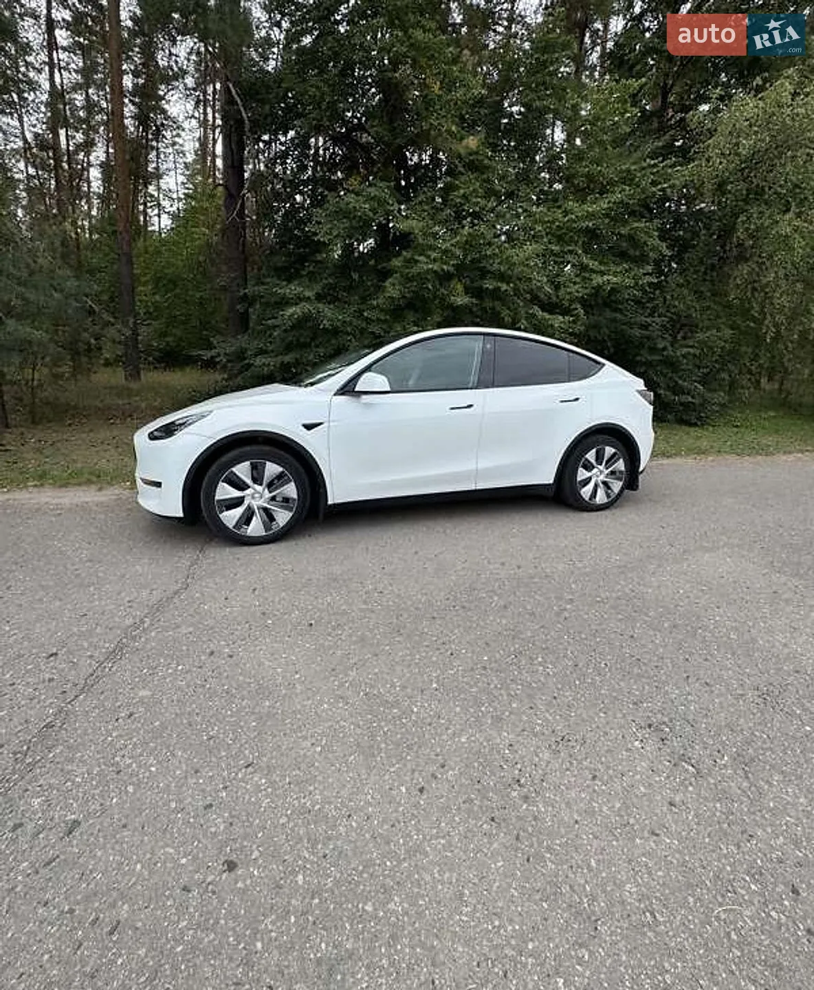 2021 Tesla Model Y - мініатюра 12