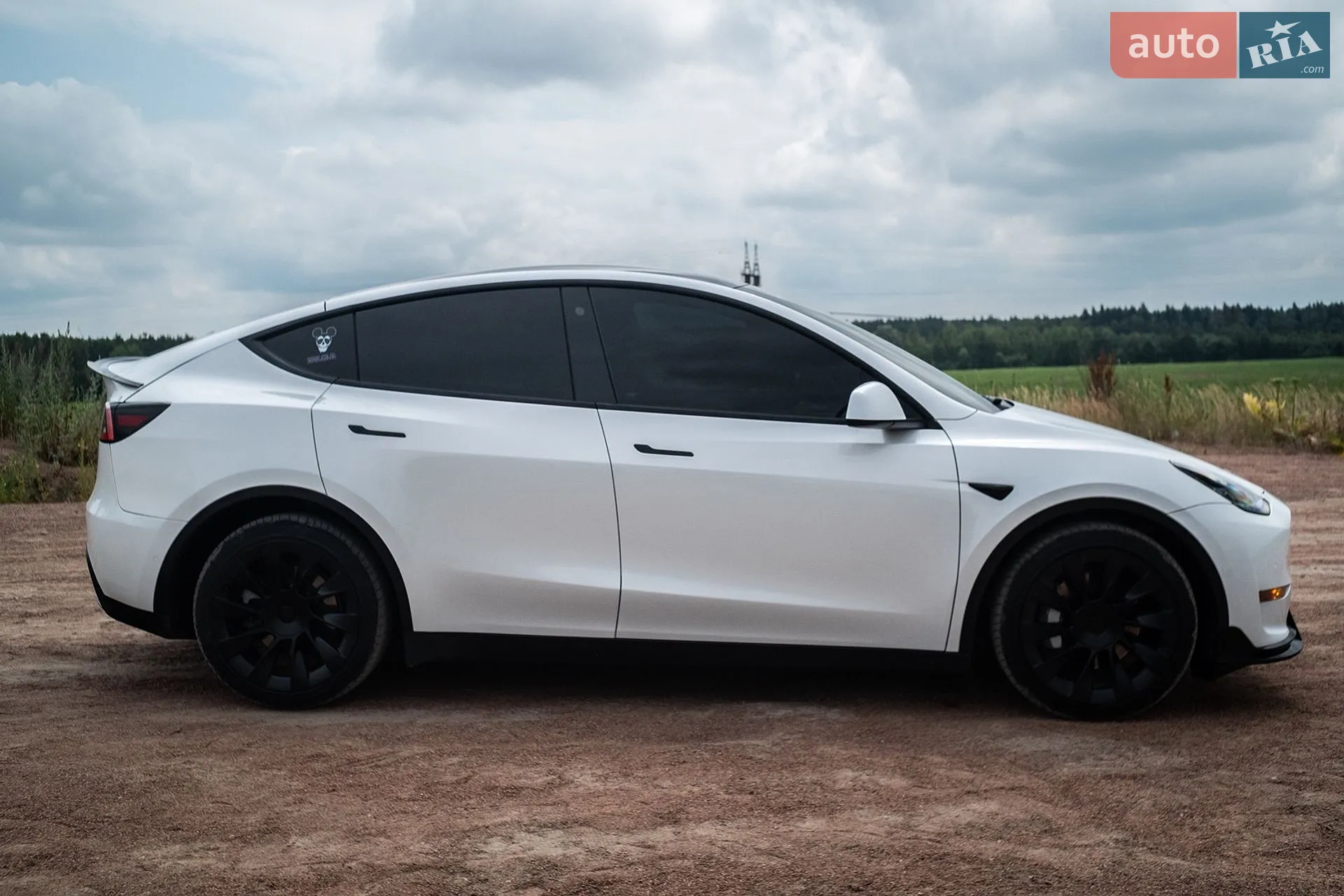 2020 Tesla Model Y - мініатюра 44