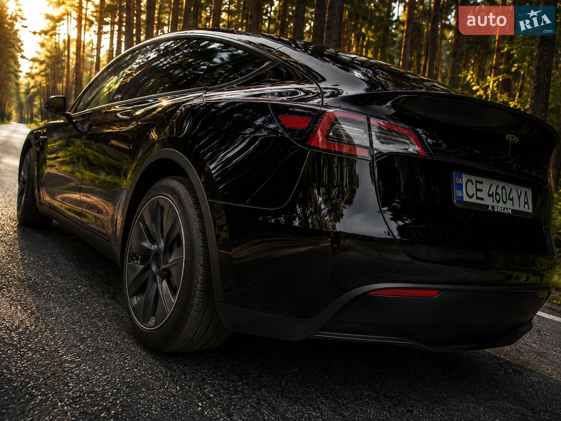 2024 Tesla Model Y - мініатюра 10