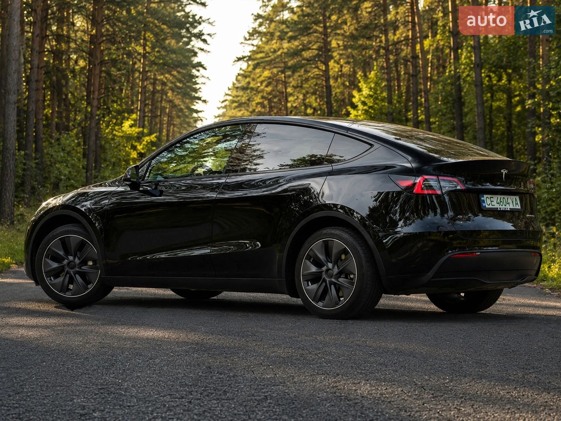 2024 Tesla Model Y - мініатюра 4