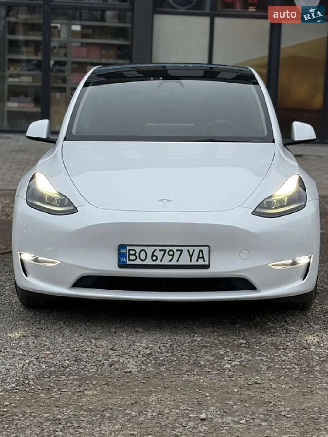 2023 Tesla Model Y - фото 1