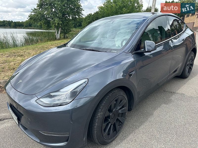 Позашляховик / Кросовер Tesla Model Y 2023 в Луцьку