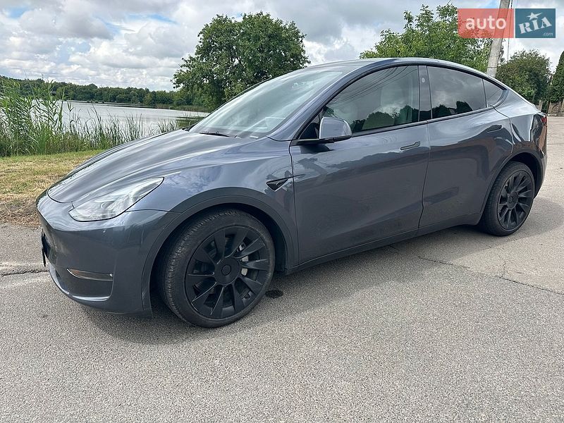 Позашляховик / Кросовер Tesla Model Y 2023 в Луцьку